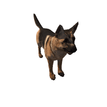 Shepherd_LowPoly