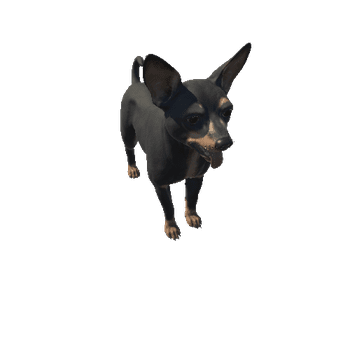 Toy_Terrier_HighPoly