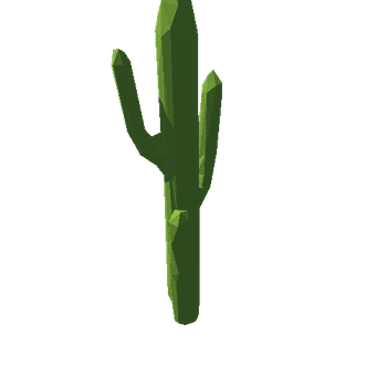 SM_cactus_01