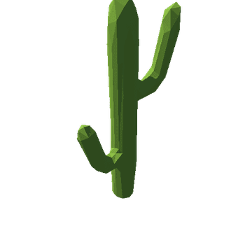 SM_cactus_02