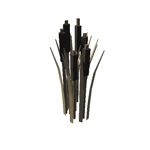 Reeds