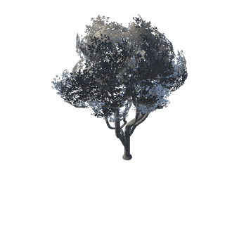 SM_Veg_Tree_A_02