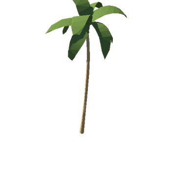 SM_tree_palm_01