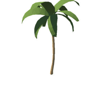 SM_tree_palm_02