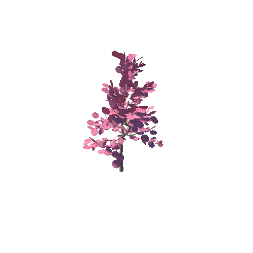 japanese_maple_02K_poly_-1998409767