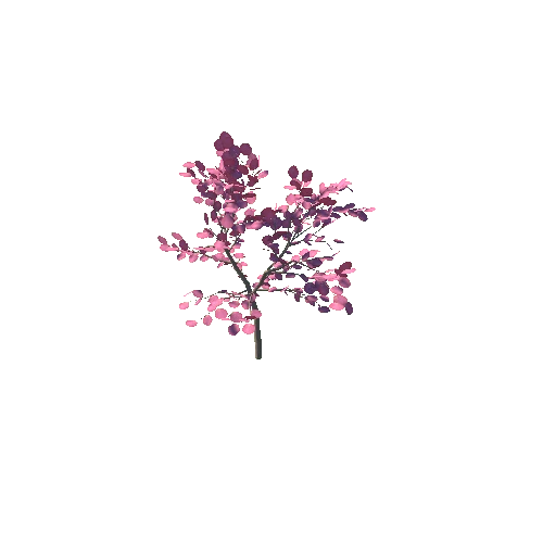 japanese_maple_02K_poly_-1998416683