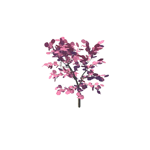 japanese_maple_02K_poly_-734367540