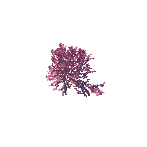 japanese_maple_10K_poly_-889893335