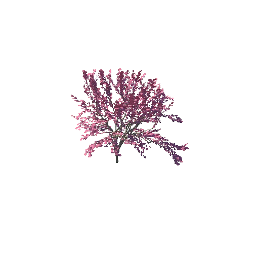 japanese_maple_10K_poly_-889988909