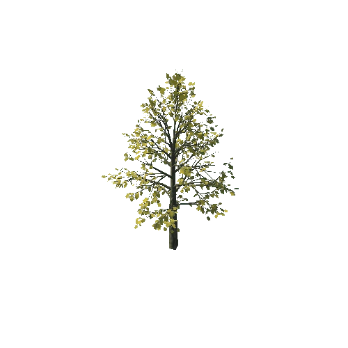 small_maple_10K_poly_-1291483543