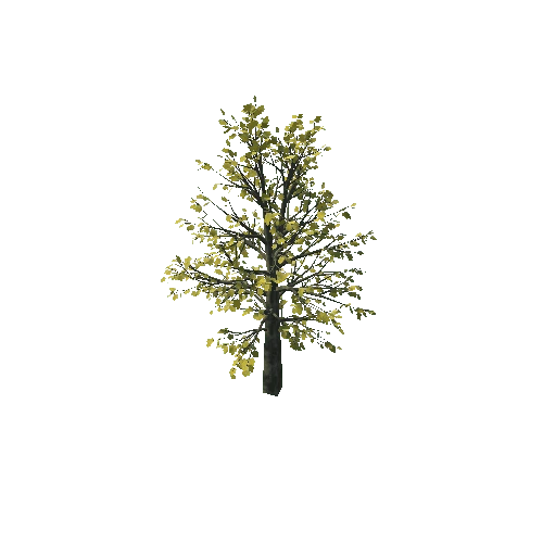 small_maple_10K_poly_1241644761