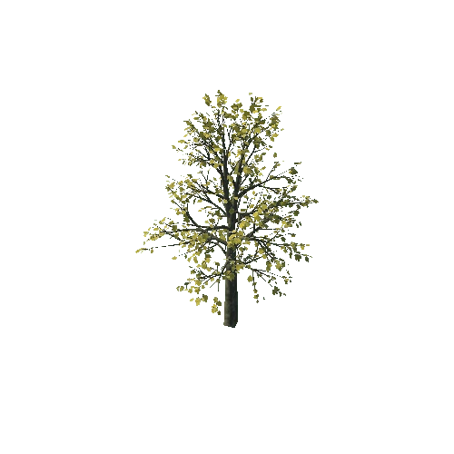 small_maple_10K_poly_1241658353
