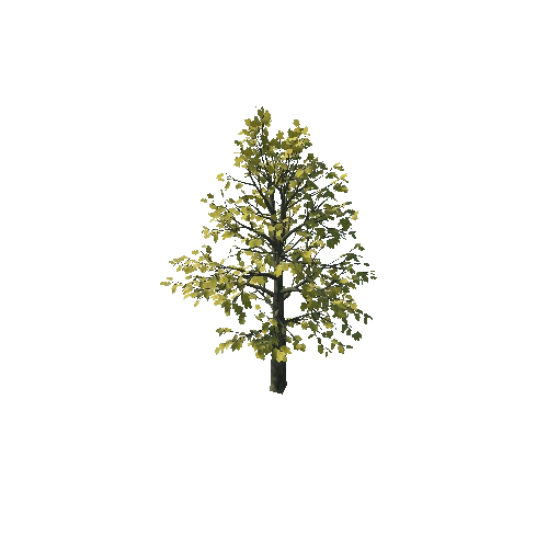 small_maple_10K_poly_1244910739