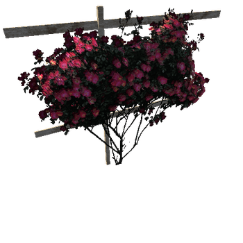 rose_tree