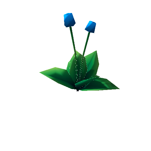 TSP_Flower_01C