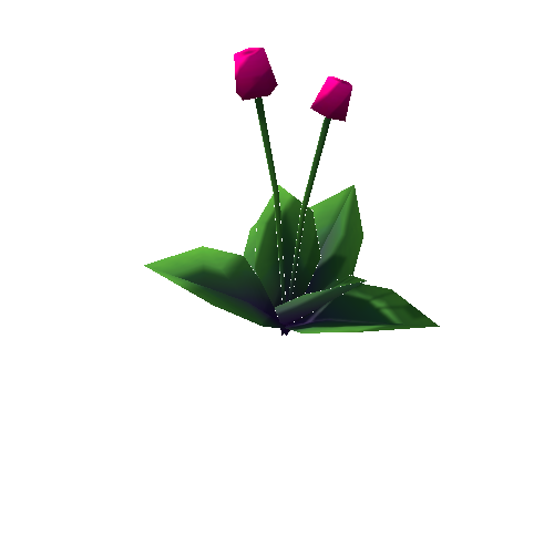 TSP_Flower_01D