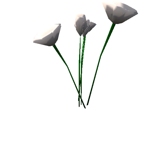 TSP_Flower_04D