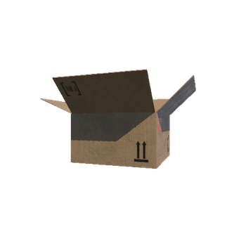 CardboardBox3Open