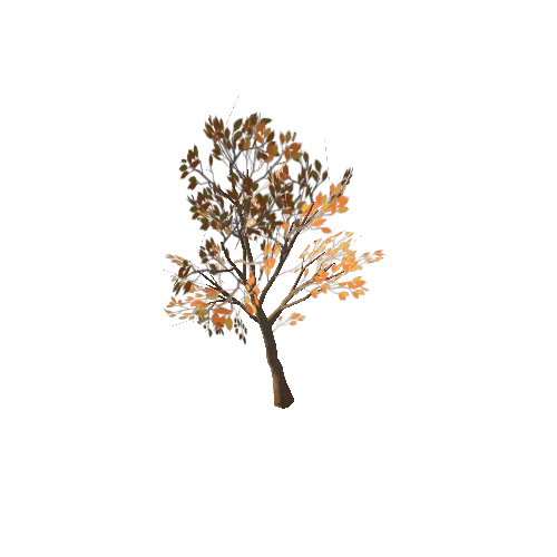 SM_Tree3