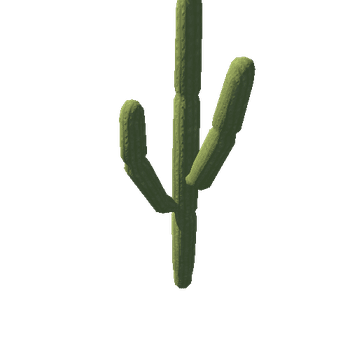 Cactus_01_LODs