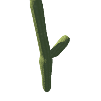 Cactus_03_LODs