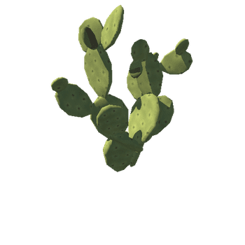 Cactus_04_LODs