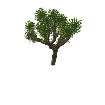 Tree_01_LODs