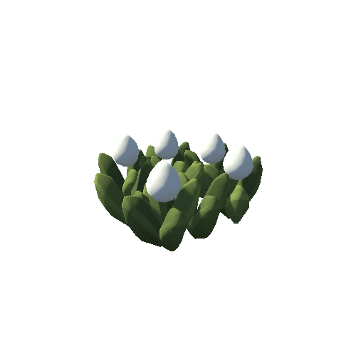 grass_tulip_flower_white_LOD_group