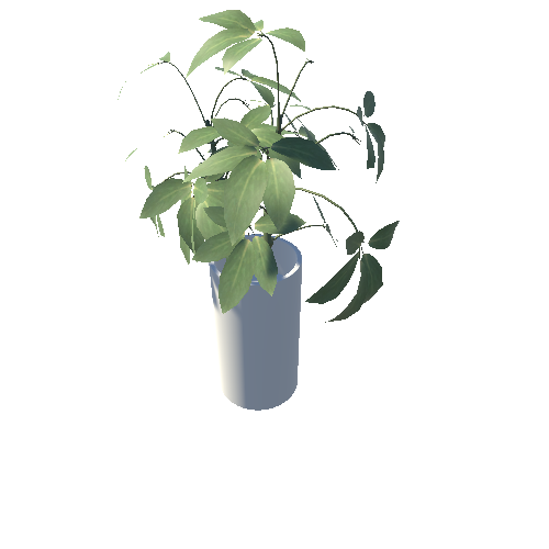 Plant_Glass_Bowl6