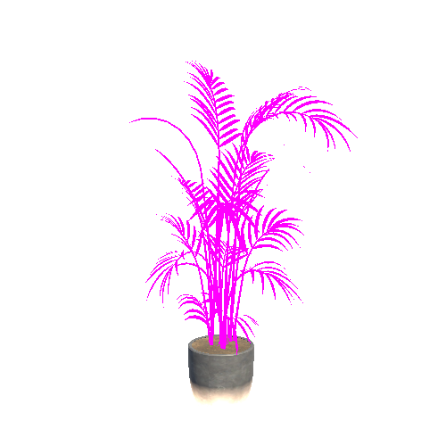 Plant_Palm2