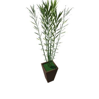 plantPot