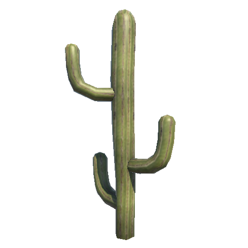 DG_Cactus_0