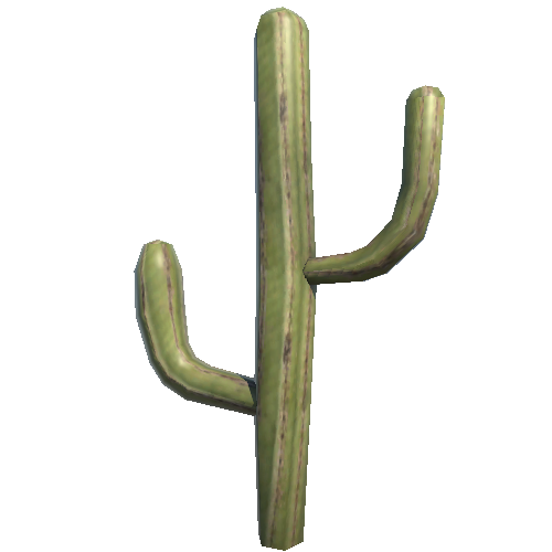 DG_Cactus_2