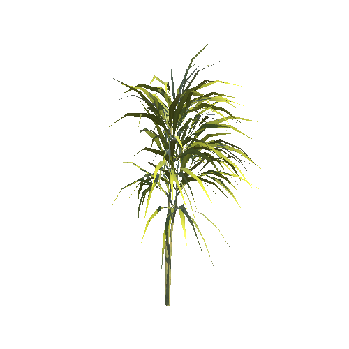 ST_Bamboo_Plant