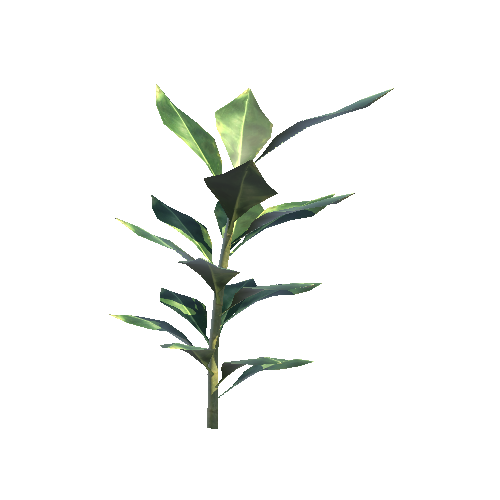 ST_Plant_01