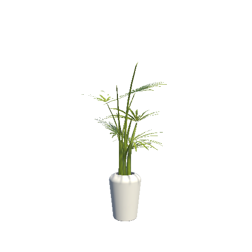 Plant_02