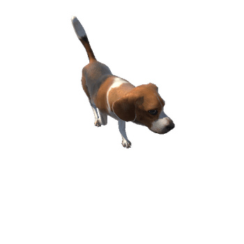 beagle@sneakleft Beagle