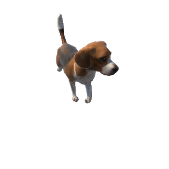 beagle@trotleft Beagle