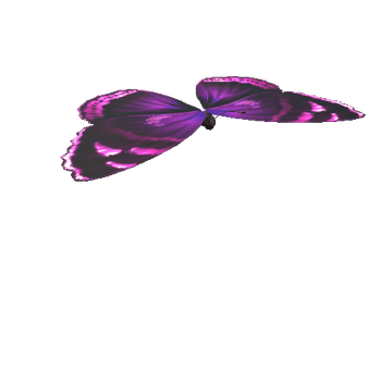 Butterfly_04_1