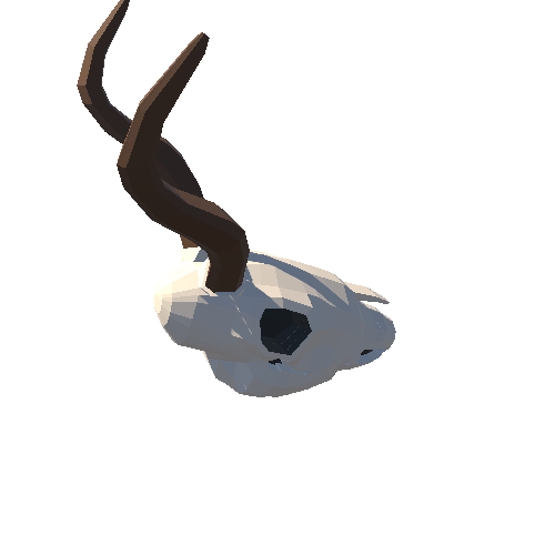 PP_Animal_Skull_01