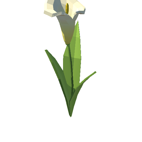 PP_Arum_Lily_White_01