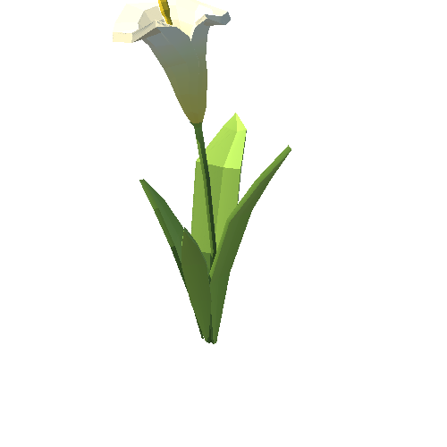 PP_Arum_Lily_White_02