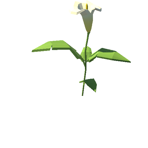 PP_Arum_Lily_White_09