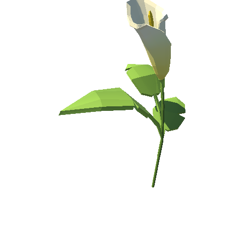 PP_Arum_Lily_White_10