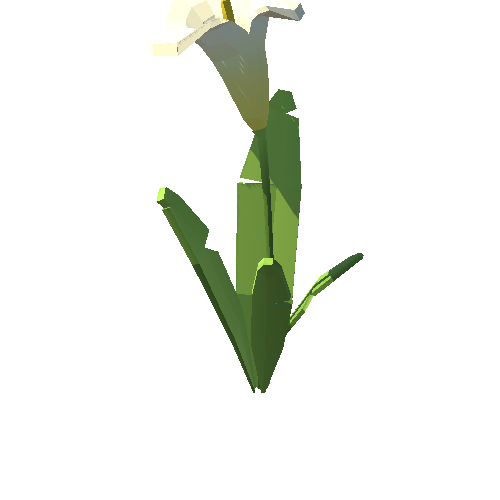 PP_Arum_Lily_White_12