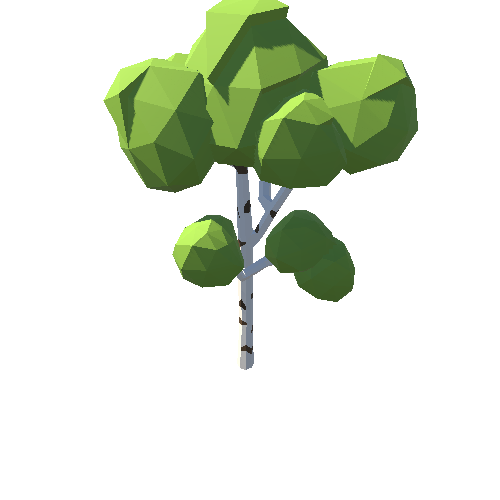 PP_Birch_Tree_03