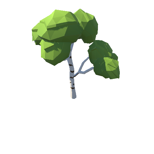 PP_Birch_Tree_08