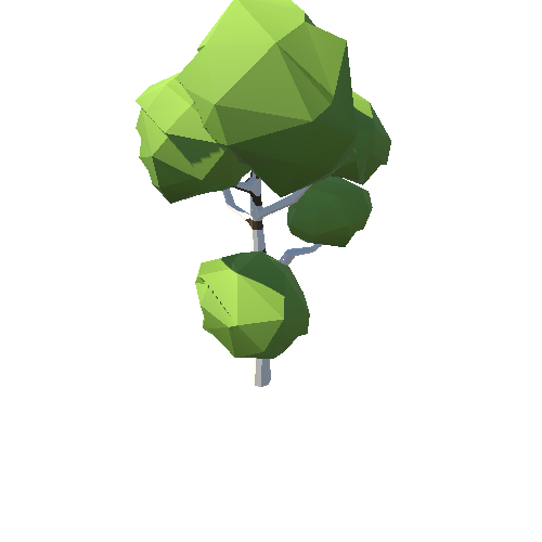 PP_Birch_Tree_09