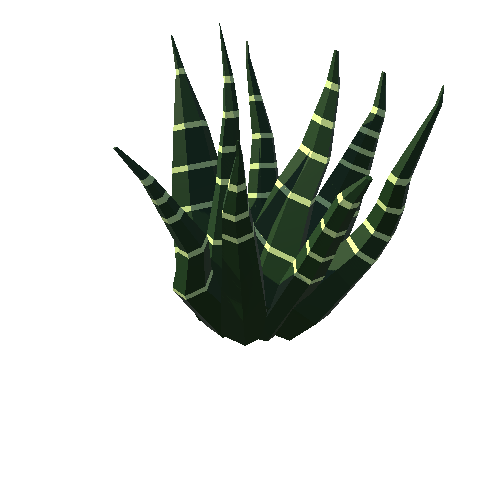 PP_Cactus_02