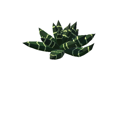 PP_Cactus_04